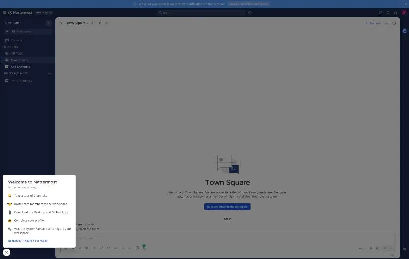初期設定直後の Mattermost の Town Square。メニューとガイドが英語で、ヘッダーに ENTRY EDITION の表記がある